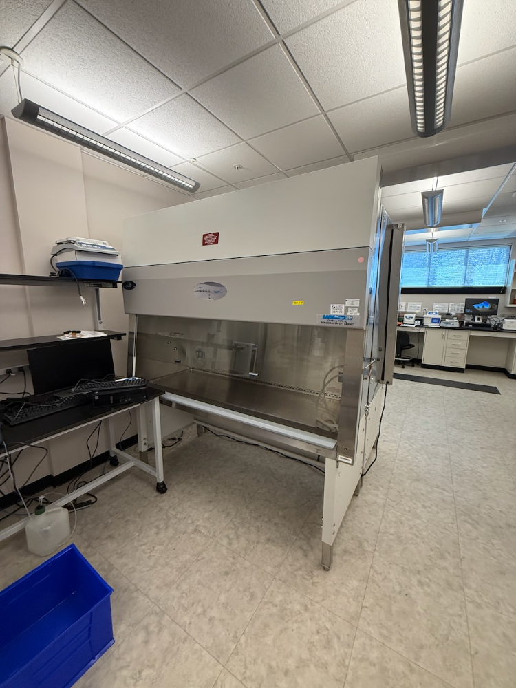 Image of Nuaire LabGard ES 6' BioSafety Cabinet